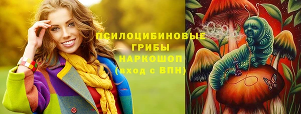 PSILOCYBIN Ачинск