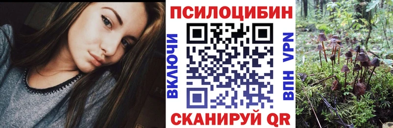 блэк спрут маркетплейс  Верхняя Салда  Псилоцибиновые грибы Psilocybe 