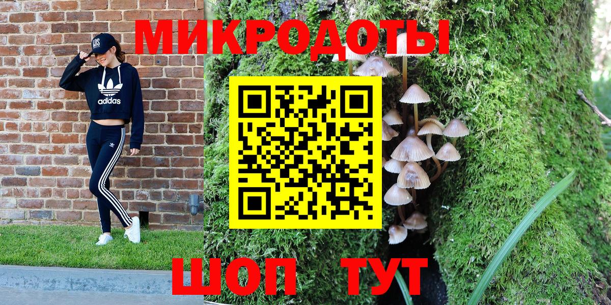 Верхняя Салда  Галлюциногенные грибы Psilocybine cubensis  Вход с VPN  Псилоцибиновые грибы мицелий 